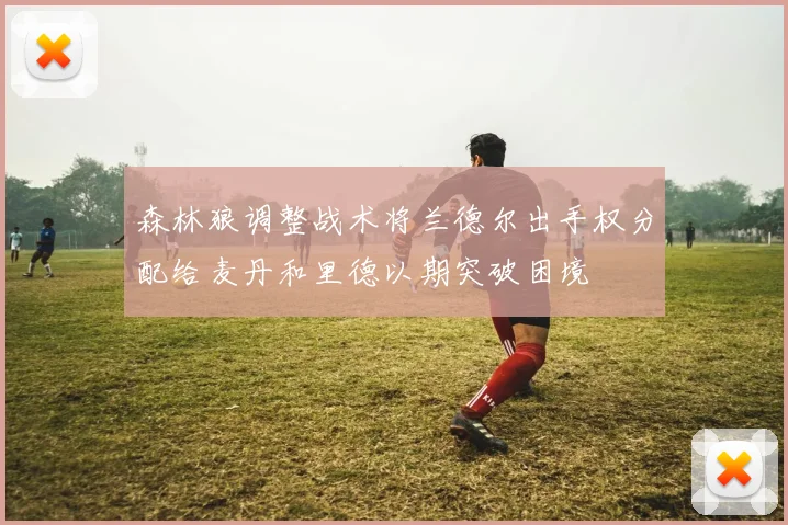 森林狼调整战术将兰德尔出手权分配给麦丹和里德以期突破困境